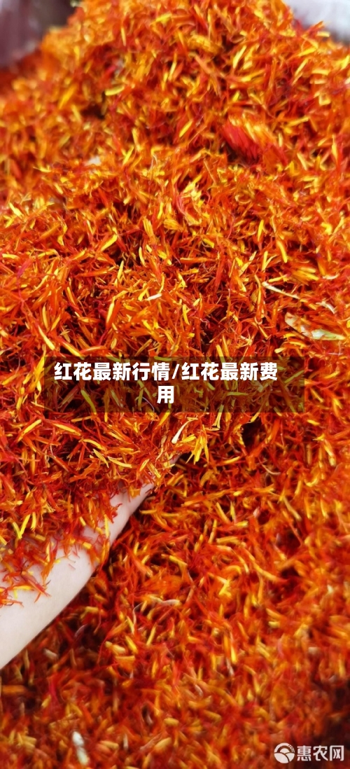 红花最新行情/红花最新费用-第2张图片