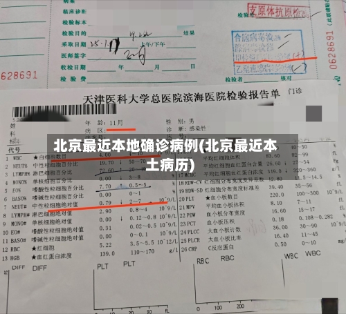 北京最近本地确诊病例(北京最近本土病历)-第2张图片