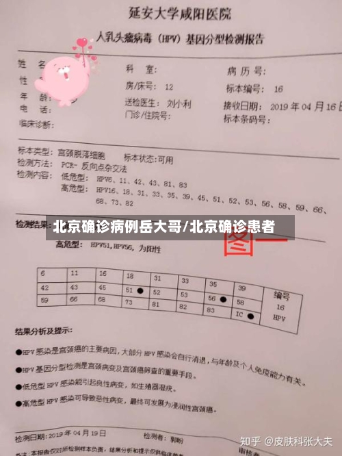 北京确诊病例岳大哥/北京确诊患者-第2张图片