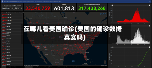 在哪儿看美国确诊(美国的确诊数据真实吗)-第3张图片