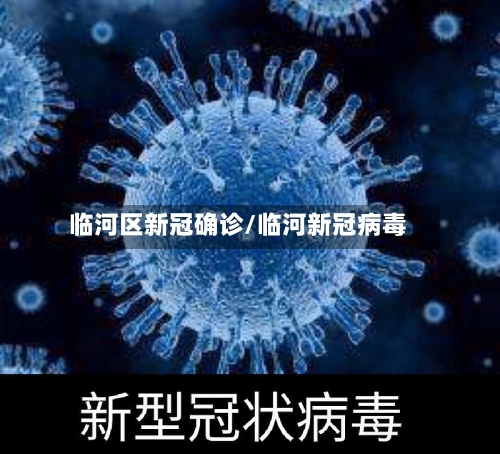 临河区新冠确诊/临河新冠病毒-第2张图片