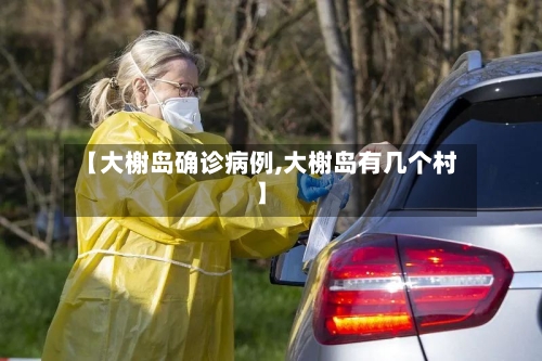 【大榭岛确诊病例,大榭岛有几个村】