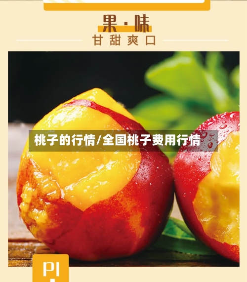 桃子的行情/全国桃子费用行情
