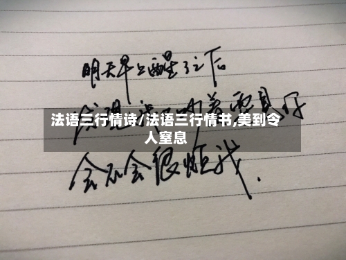 法语三行情诗/法语三行情书,美到令人窒息