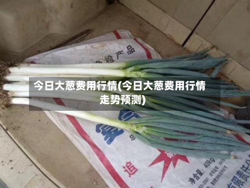 今日大葱费用行情(今日大葱费用行情走势预测)-第2张图片