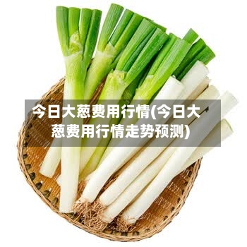 今日大葱费用行情(今日大葱费用行情走势预测)-第3张图片