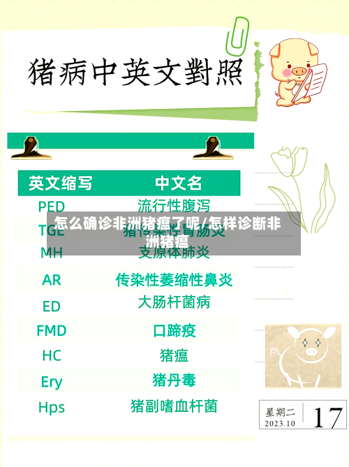 怎么确诊非洲猪瘟了呢/怎样诊断非洲猪瘟-第2张图片