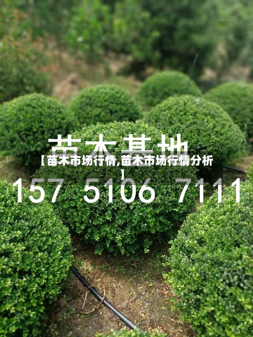 【苗木市场行情,苗木市场行情分析】