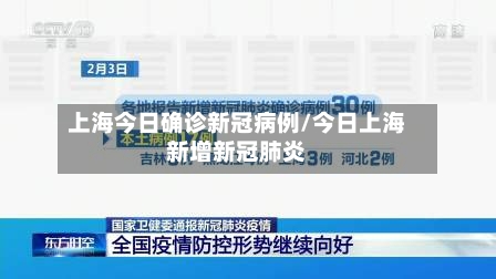 上海今日确诊新冠病例/今日上海新增新冠肺炎-第2张图片