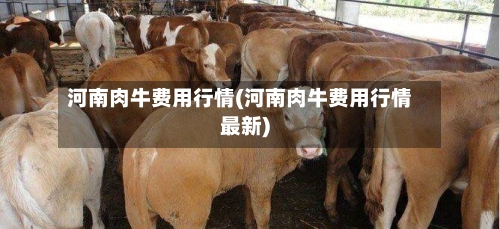 河南肉牛费用行情(河南肉牛费用行情最新)-第2张图片