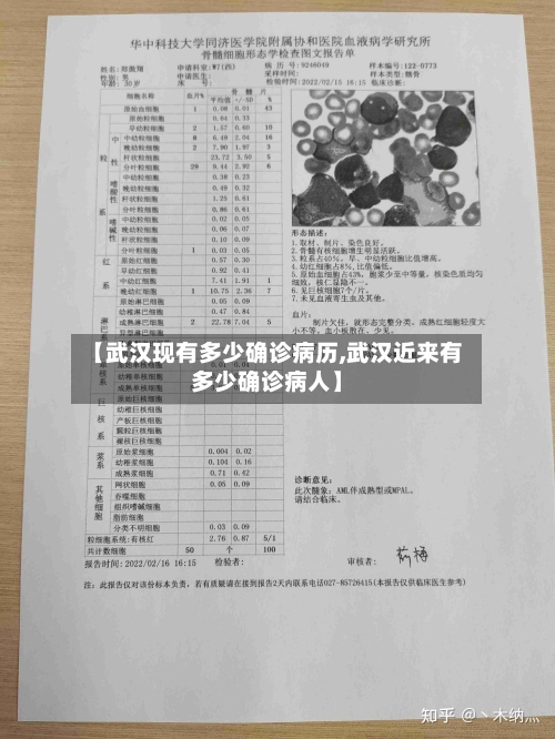 【武汉现有多少确诊病历,武汉近来有多少确诊病人】-第2张图片