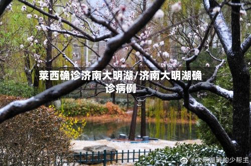 莱西确诊济南大明湖/济南大明湖确诊病例-第2张图片