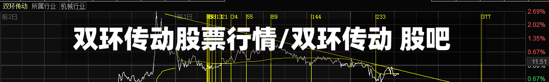 双环传动股票行情/双环传动 股吧