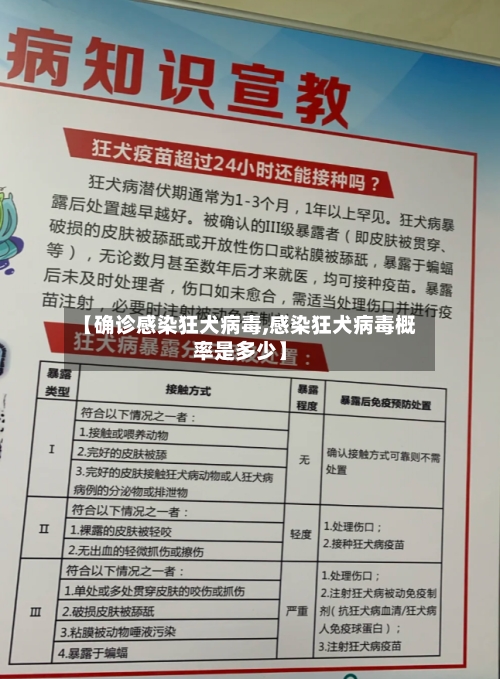 【确诊感染狂犬病毒,感染狂犬病毒概率是多少】-第2张图片