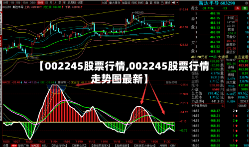 【002245股票行情,002245股票行情走势图最新】-第2张图片