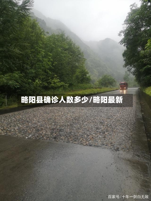 略阳县确诊人数多少/略阳最新