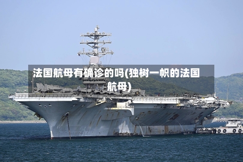 法国航母有确诊的吗(独树一帜的法国航母)