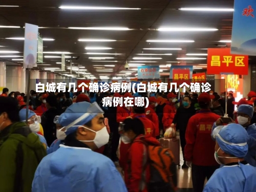 白城有几个确诊病例(白城有几个确诊病例在哪)-第2张图片