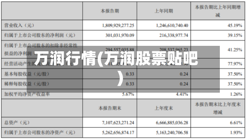 万润行情(万润股票贴吧)