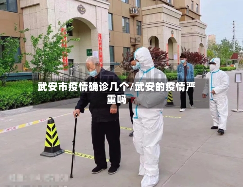 武安市疫情确诊几个/武安的疫情严重吗-第3张图片