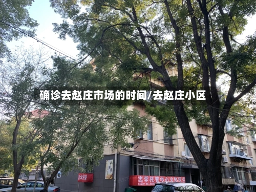 确诊去赵庄市场的时间/去赵庄小区-第2张图片