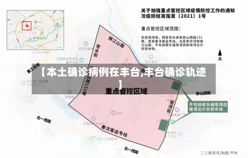 【本土确诊病例在丰台,丰台确诊轨迹】-第2张图片