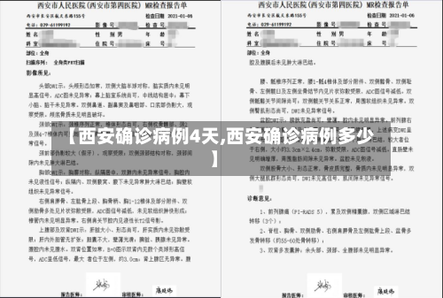 【西安确诊病例4天,西安确诊病例多少】-第2张图片