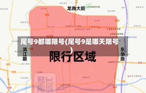 尾号9都哪限号(尾号9是哪天限号)-第2张图片