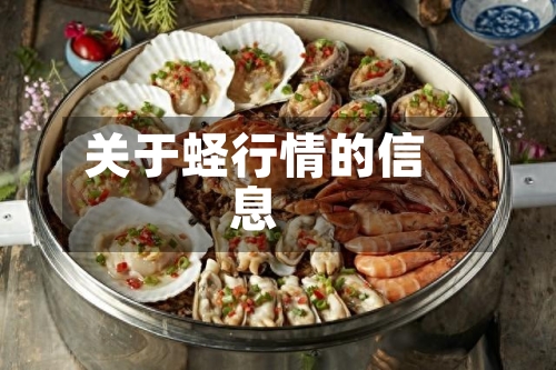 关于蛏行情的信息