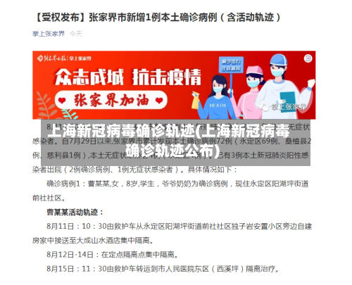 上海新冠病毒确诊轨迹(上海新冠病毒确诊轨迹公布)-第2张图片
