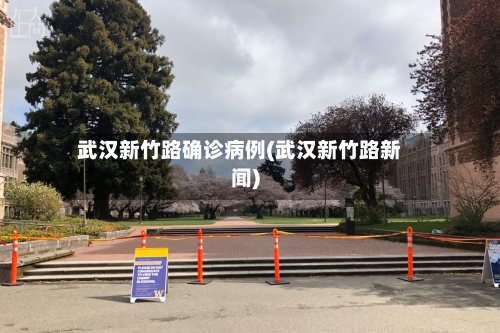 武汉新竹路确诊病例(武汉新竹路新闻)-第2张图片