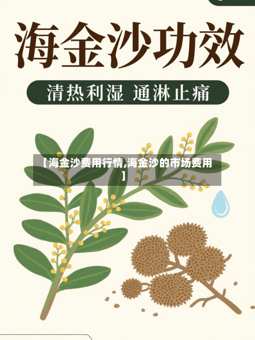 【海金沙费用行情,海金沙的市场费用】