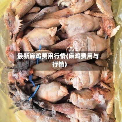 最新麻鸡费用行情(麻鸡费用与行情)