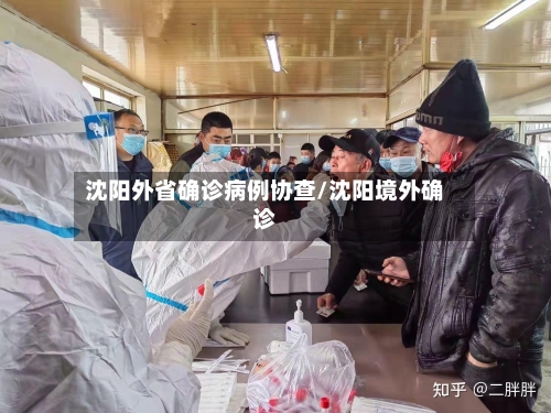 沈阳外省确诊病例协查/沈阳境外确诊-第3张图片