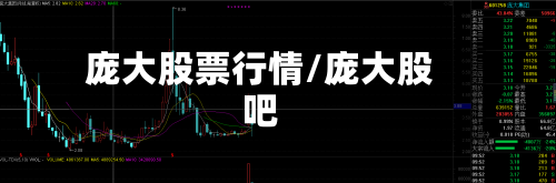 庞大股票行情/庞大股吧