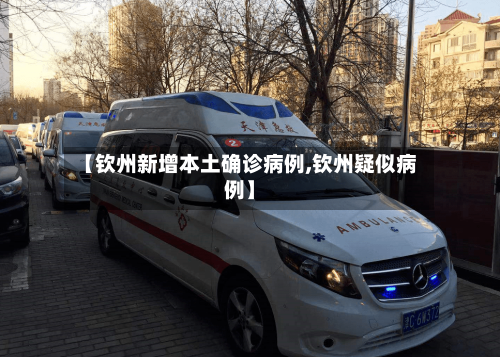 【钦州新增本土确诊病例,钦州疑似病例】-第2张图片