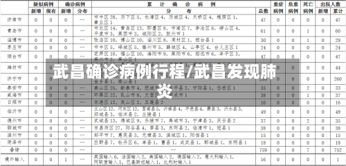 武昌确诊病例行程/武昌发现肺炎-第3张图片