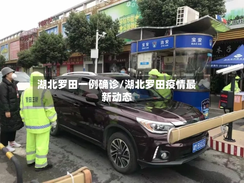 湖北罗田一例确诊/湖北罗田疫情最新动态-第3张图片
