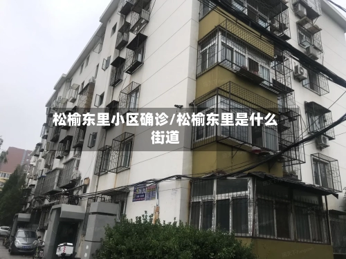 松榆东里小区确诊/松榆东里是什么街道-第2张图片