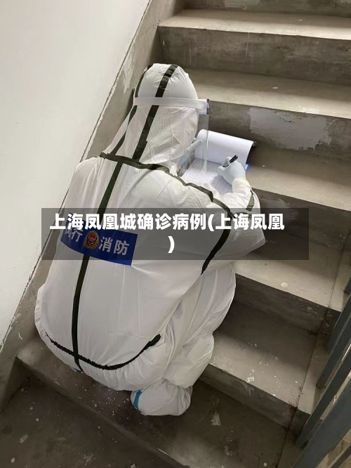 上海凤凰城确诊病例(上诲凤凰)-第2张图片