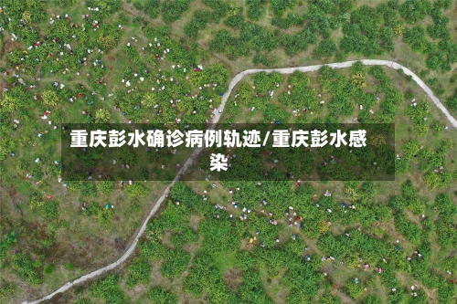 重庆彭水确诊病例轨迹/重庆彭水感染