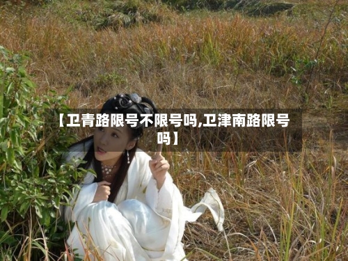 【卫青路限号不限号吗,卫津南路限号吗】-第3张图片