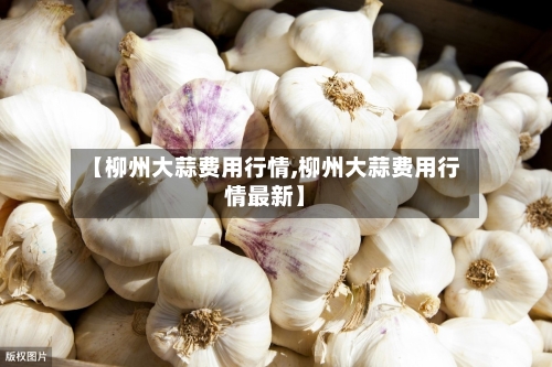 【柳州大蒜费用行情,柳州大蒜费用行情最新】