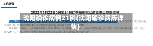 沈阳确诊病例21例(沈阳确诊病历详情)-第2张图片