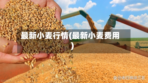 最新小麦行情(最新小麦费用)-第2张图片
