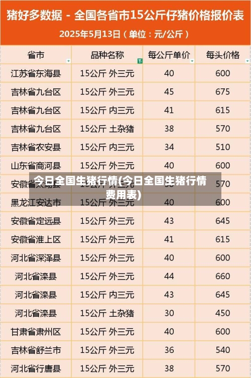 今日全国生猪行情(今日全国生猪行情费用表)-第3张图片