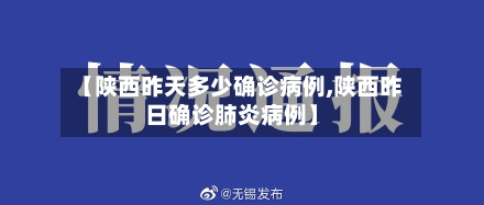 【陕西昨天多少确诊病例,陕西昨日确诊肺炎病例】-第2张图片