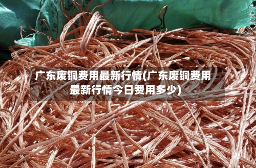 广东废铜费用最新行情(广东废铜费用最新行情今日费用多少)-第3张图片