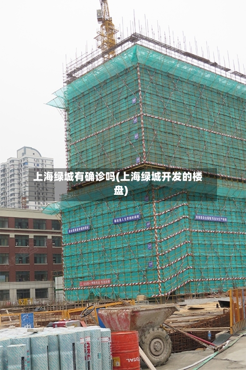 上海绿城有确诊吗(上海绿城开发的楼盘)