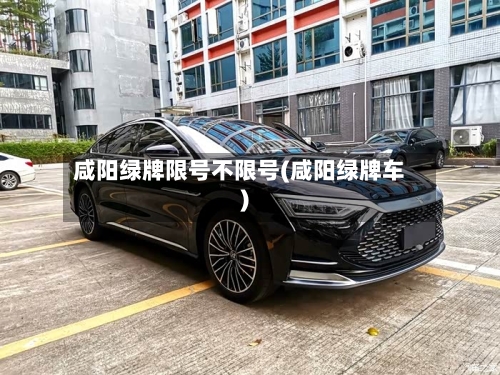 咸阳绿牌限号不限号(咸阳绿牌车)-第2张图片